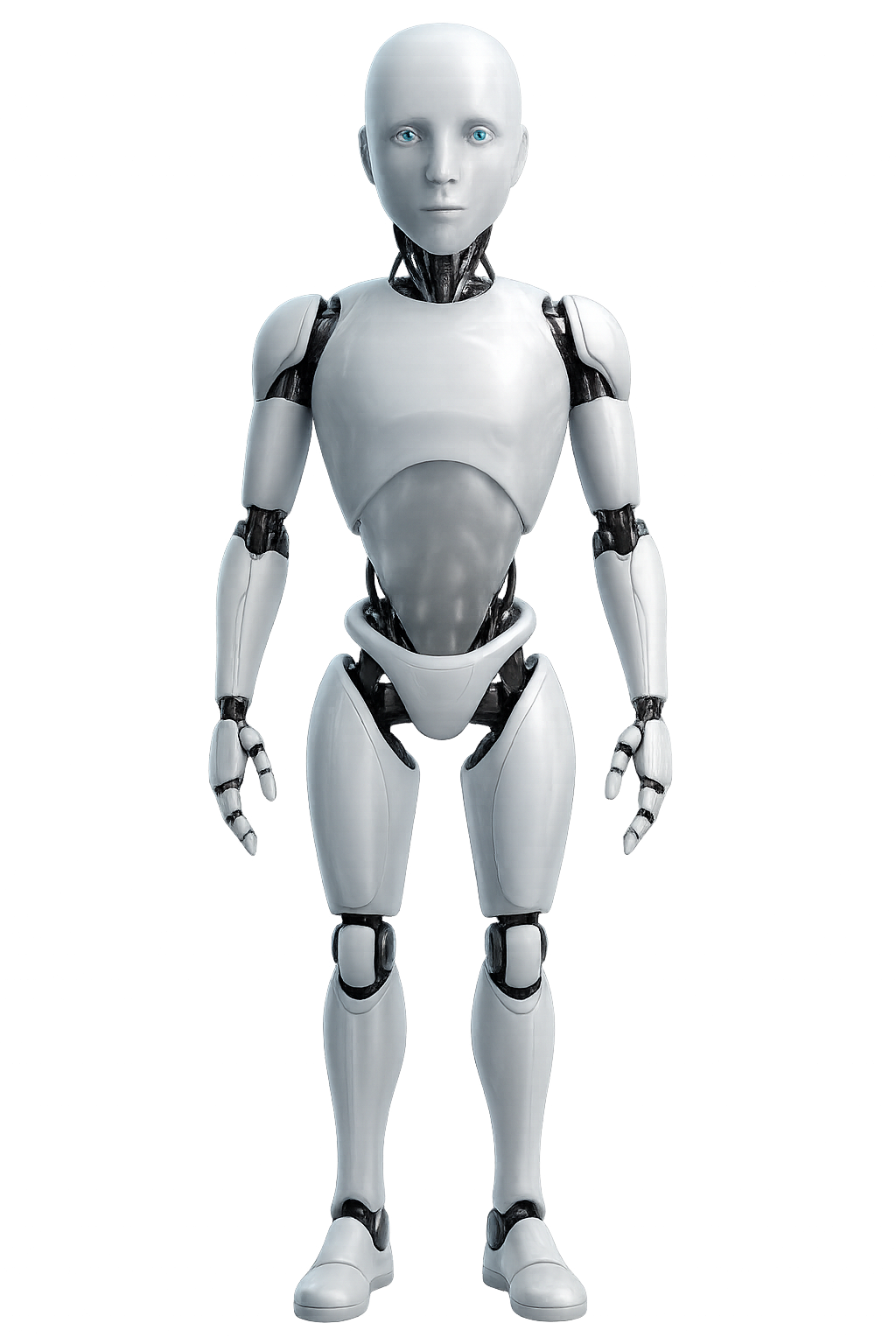 DataWarden Robot